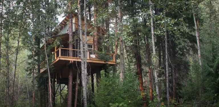 shaky knees2 768x375