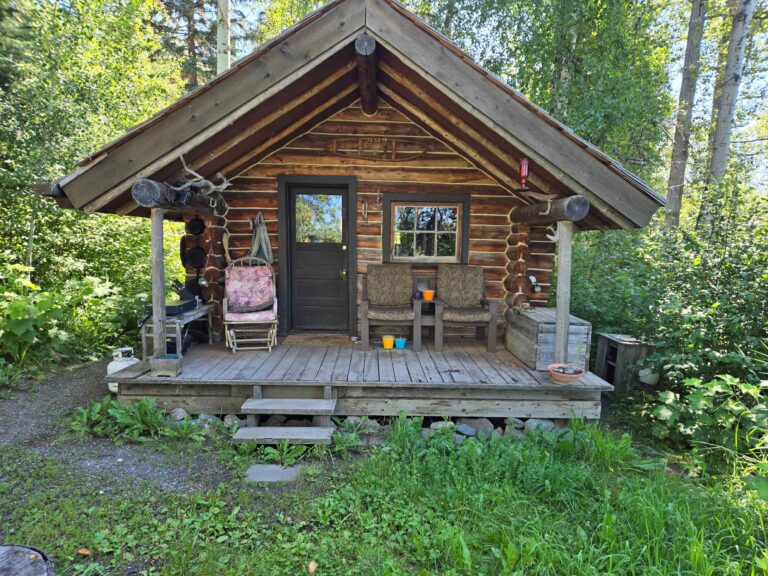 Cabin Photo 003 768x576